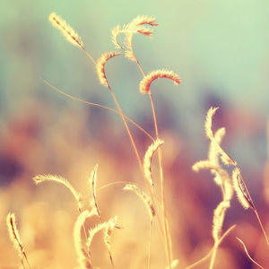 Meet your Posher, Colleen